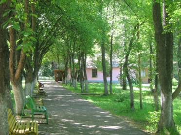 image001(3)